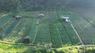 Bắc Hà đẩy mạnh tuyên truyền người dân chuyển đổi sang mô hình chuyên canh rau an toàn