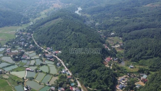 Xã Phong Hải hướng tới giảm nghèo từ phát triển kinh tế rừng và dưới tán rừng