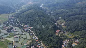 Xã Phong Hải hướng tới giảm nghèo từ phát triển kinh tế rừng và dưới tán rừng