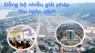 Đồng bộ nhiều giải pháp thu ngân sách