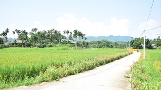 Xây dựng nông thôn mới thực chất, tạo diện mạo mới cho khu vực nông thôn Lào Cai.