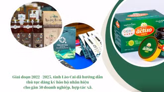 Bảo vệ quyền sở hữu trí tuệ trong nông nghiệp