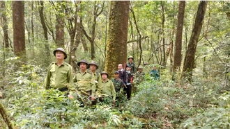 Chi trả hơn 15,2 tỷ đồng dịch vụ môi trường rừng tại Khu bảo tồn Loài và Sinh cảnh Mù Cang Chải