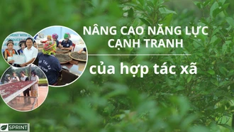 Nâng cao năng lực cạnh tranh của hợp tác xã 