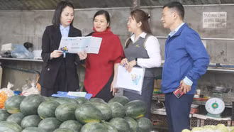 Bảo hiểm xã hội tự nguyện – điểm tựa an sinh bền vững cho lao động tự do ở Lào Cai