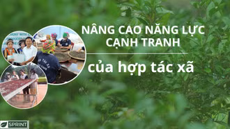 Nâng cao năng lực cạnh tranh của hợp tác xã 