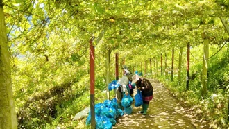 Hợp tác xã - “bệ đỡ” giúp người dân giảm nghèo bền vững