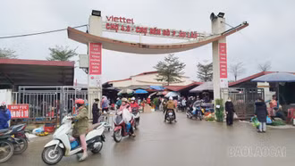 Từ điểm tựa đến động lực tăng trưởng