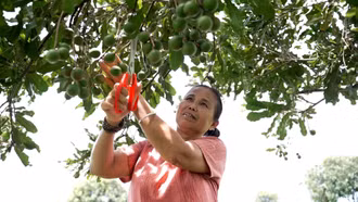 Thận trọng để bền vững