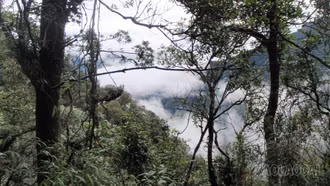  Nâng cao giá trị và sinh kế bền vững