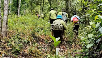 Lực lượng kiểm lâm phối hợp cùng người dân tuần tra bảo vệ rừng tại Khu bảo tồn loài và sinh cảnh Mù Cang Chải.