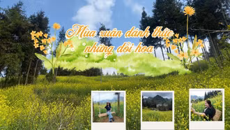 Mùa xuân đánh thức những đồi hoa