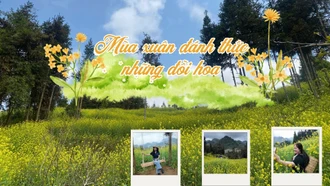 Mùa xuân đánh thức những đồi hoa