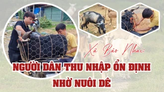 Xã Bảo Nhai: Người dân thu nhập ổn định nhờ nuôi dê