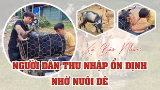 Xã Bảo Nhai: Người dân thu nhập ổn định nhờ nuôi dê