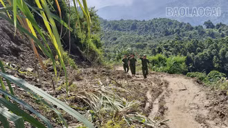 Phường Cam Đường khẩn trương triển khai các biện pháp ứng phó bão số 11