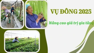 Vụ đông 2025: Nâng cao giá trị gia tăng