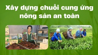 Xây dựng chuỗi cung ứng nông sản an toàn