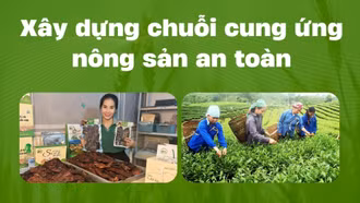 Xây dựng chuỗi cung ứng nông sản an toàn