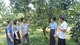  “Chìa khóa” trong công tác giảm nghèo bền vững