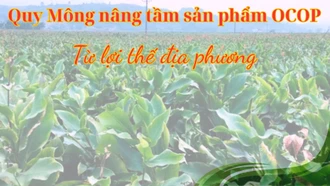 Quy Mông nâng tầm sản phẩm OCOP từ lợi thế địa phương 
