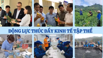 Động lực thúc đẩy kinh tế tập thể