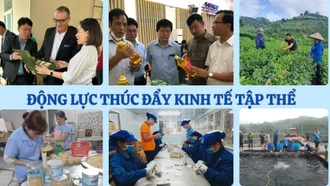 Động lực thúc đẩy kinh tế tập thể