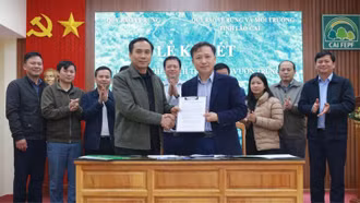 Khi rừng trở thành “nguồn sống”