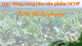 Quy Mông nâng tầm sản phẩm OCOP từ lợi thế địa phương 