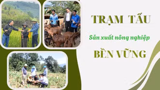 Trạm Tấu sản xuất nông nghiệp bền vững