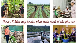  Dự án 8 khơi dậy tư duy phát triển kinh tế cho phụ nữ 