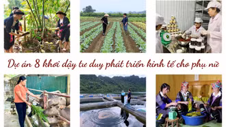  Dự án 8 khơi dậy tư duy phát triển kinh tế cho phụ nữ 