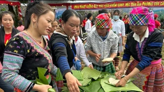 Đẩy mạnh bình đẳng giới, giải quyết vấn đề cấp thiết đối với phụ nữ và trẻ em