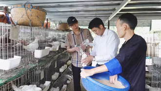 Lào Cai đạt nhiều kết quả tích cực trong công tác giảm nghèo giai đoạn 2021 - 2025