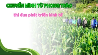 Chuyển mình từ phong trào thi đua phát triển kinh tế 