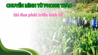 Chuyển mình từ phong trào thi đua phát triển kinh tế 