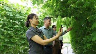 Thanh niên dân tộc thiểu số phường Cầu Thia năng động phát triển kinh tế