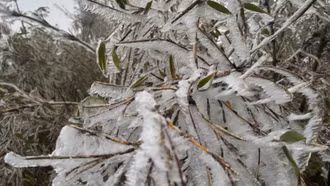 Băng tuyết phủ trắng đỉnh Phan Si Păng