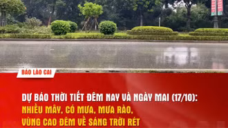 Dự báo thời tiết đêm nay và ngày mai (17/10)