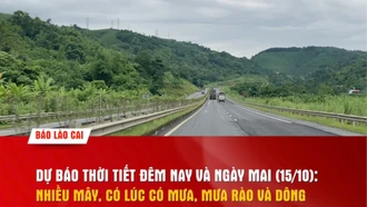 Dự báo thời tiết đêm nay và ngày mai (15/10)