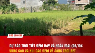 Dự báo thời tiết đêm nay và ngày mai 26/10