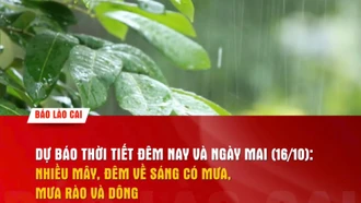 Dự báo thời tiết đêm nay và ngày mai (16/10)