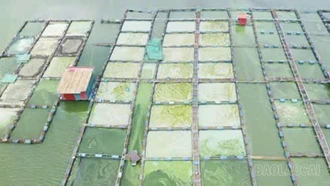 Xã Tả Van yêu cầu di chuyển lồng bè nuôi cá tại hồ Séo Mý Tỷ trước ngày 30/3