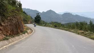 Đường mới mở lối cho cây quế Bảo Nhai vươn xa