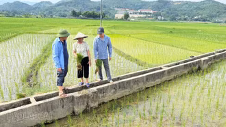 Phân cấp quản lý: Nâng hiệu quả khai thác công trình thủy lợi