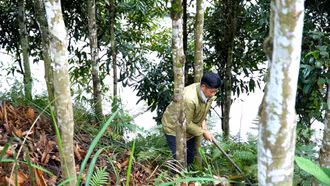 Trưởng thôn gương mẫu “nói đi đôi với làm”