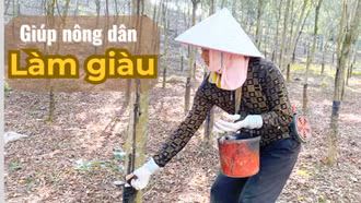 Giúp nông dân làm giàu 