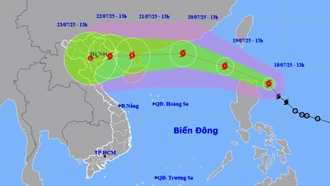 Đường đi, tác động của bão Wipha có hình dáng bão Yagi