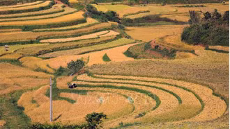 Du lịch Việt Nam bứt phá "mùa vàng" cuối năm