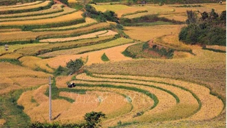 Du lịch Việt Nam bứt phá 'mùa vàng' cuối năm